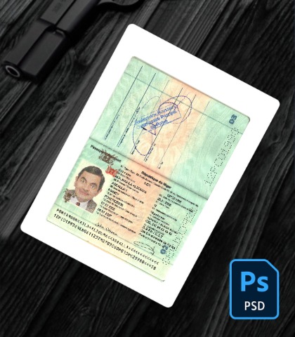 Niger Republic passport 2022-present PSD